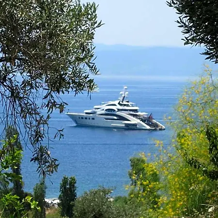Kolios View